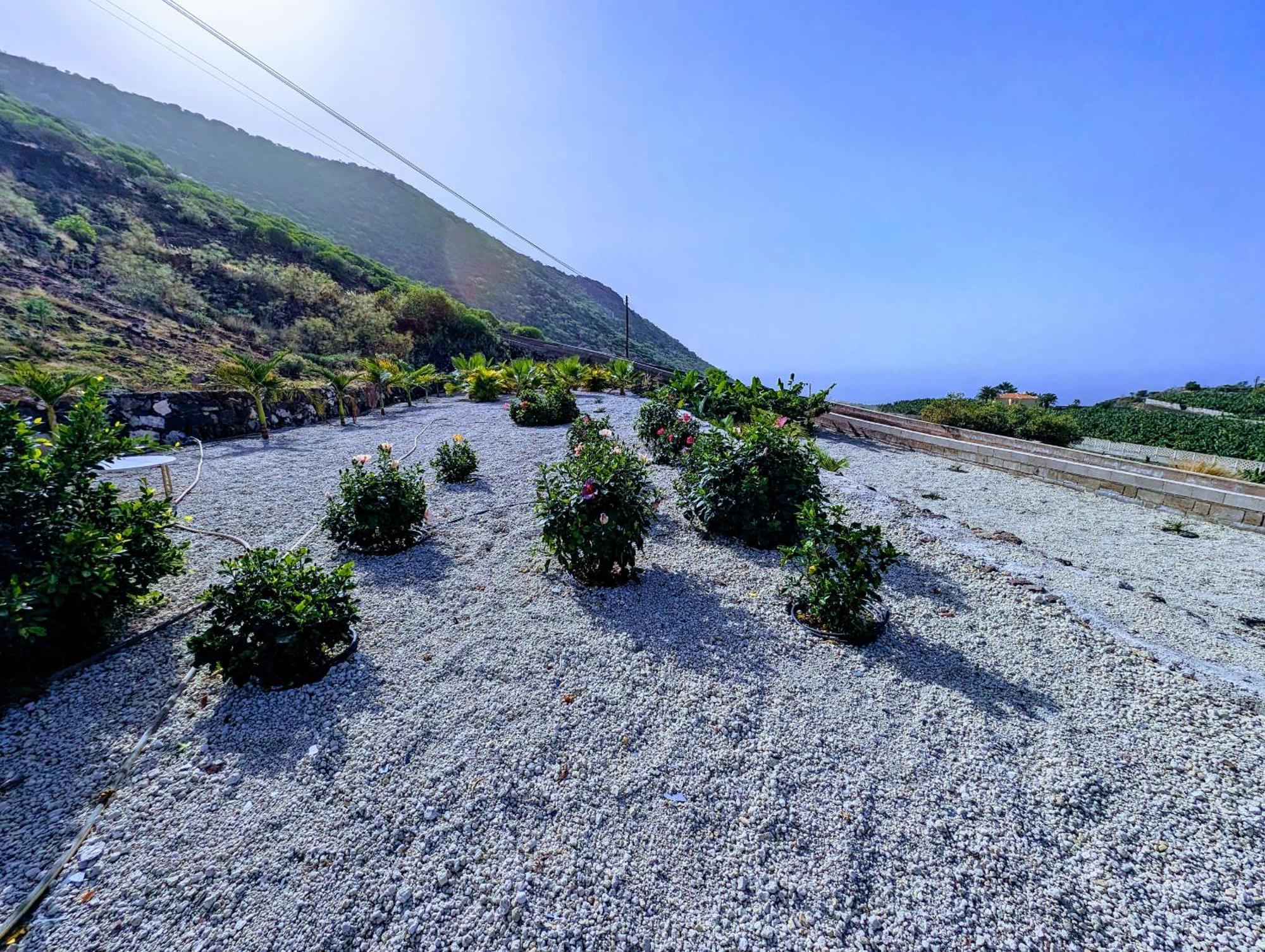 Cliff Haven Sea View Apartment - Adults Only Santiago Del Teide Bagian luar foto